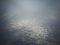 http://www.kristofguez.com/files/gimgs/th-119_DSCN2039.jpg