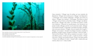 http://www.kristofguez.com/files/gimgs/th-125_PENSER-AQUATIQUE-NET©Kristof-Guez-3.jpg